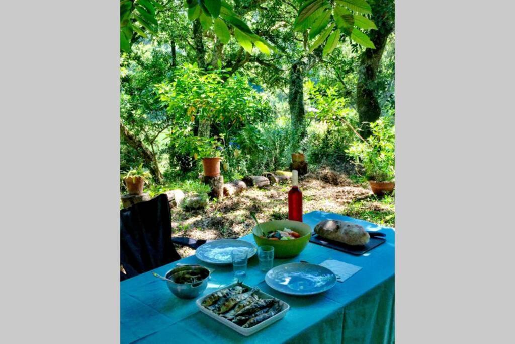 Quinta Biologica, Com Vista, Na Serra De Sintra Exteriér fotografie