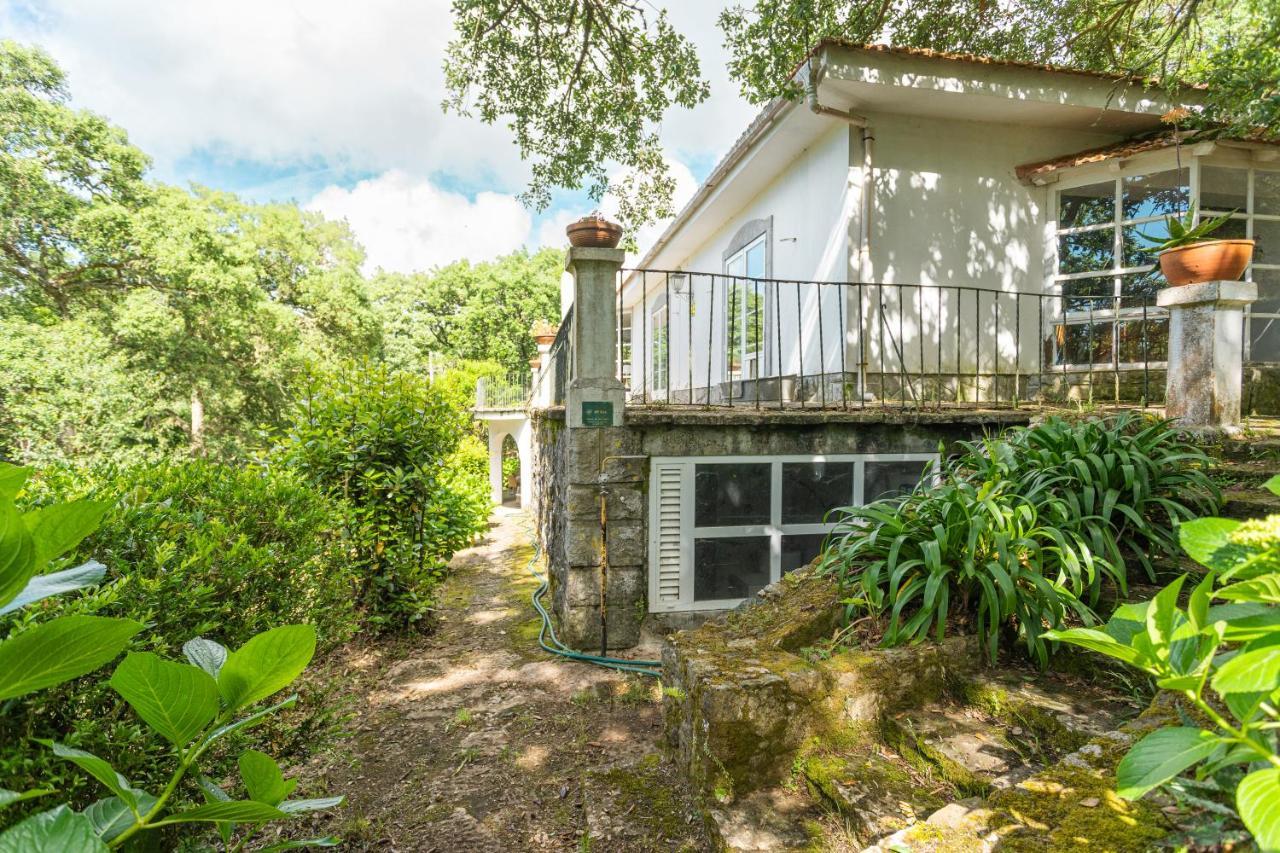 Quinta Biologica, Com Vista, Na Serra De Sintra Exteriér fotografie