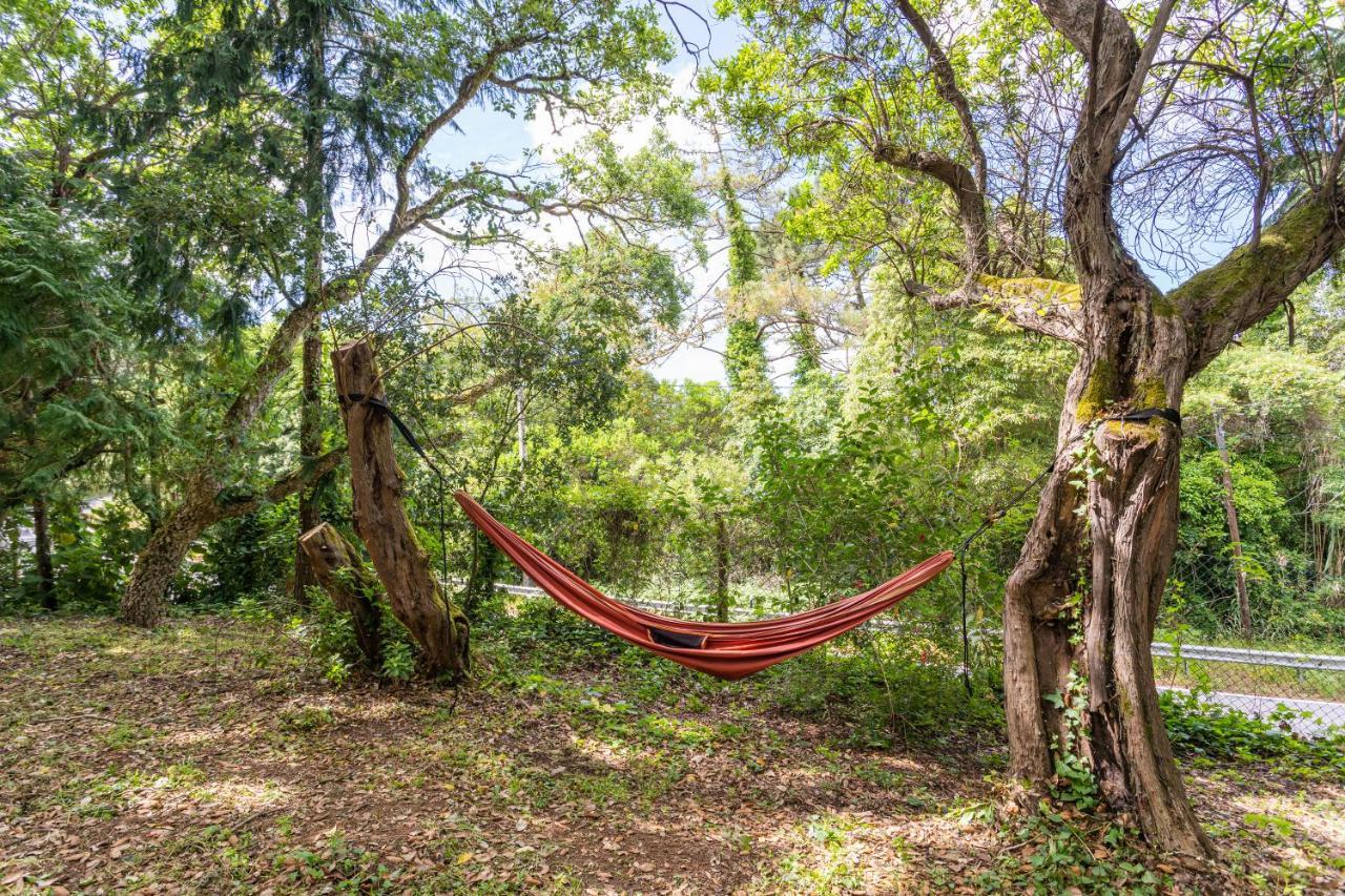 Quinta Biologica, Com Vista, Na Serra De Sintra Exteriér fotografie