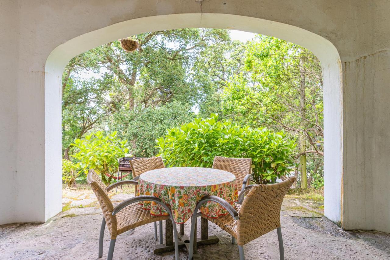 Quinta Biologica, Com Vista, Na Serra De Sintra Exteriér fotografie