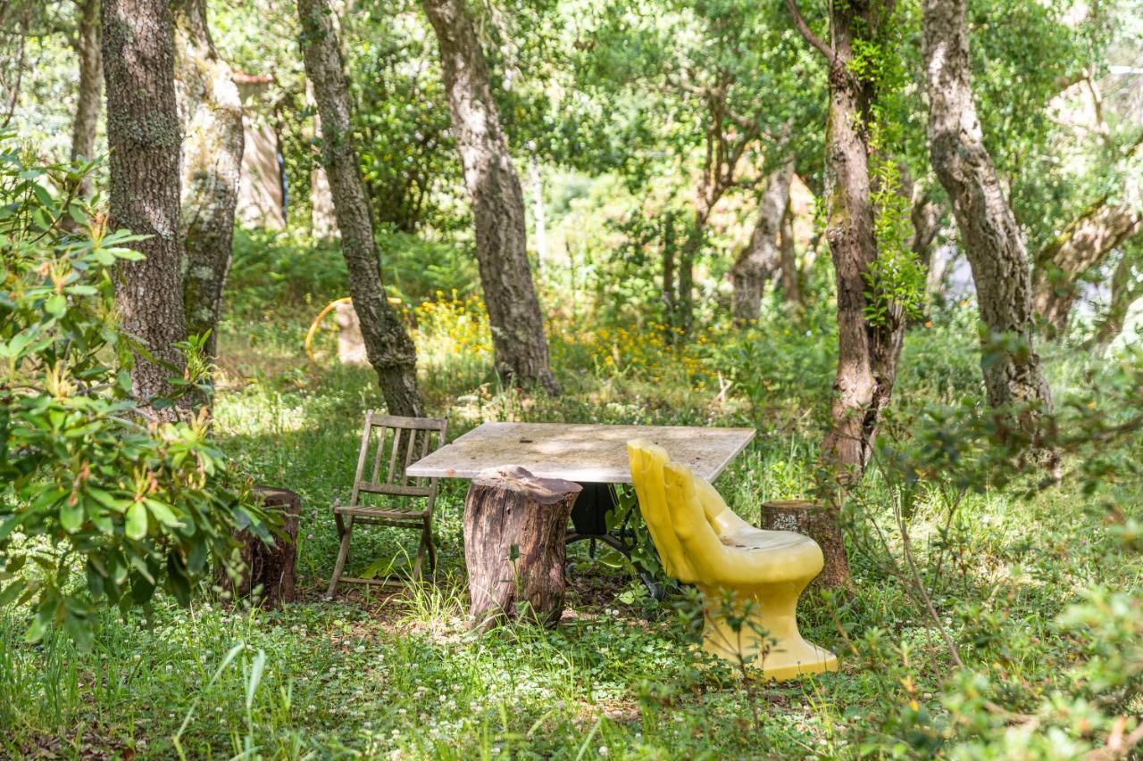 Quinta Biologica, Com Vista, Na Serra De Sintra Exteriér fotografie