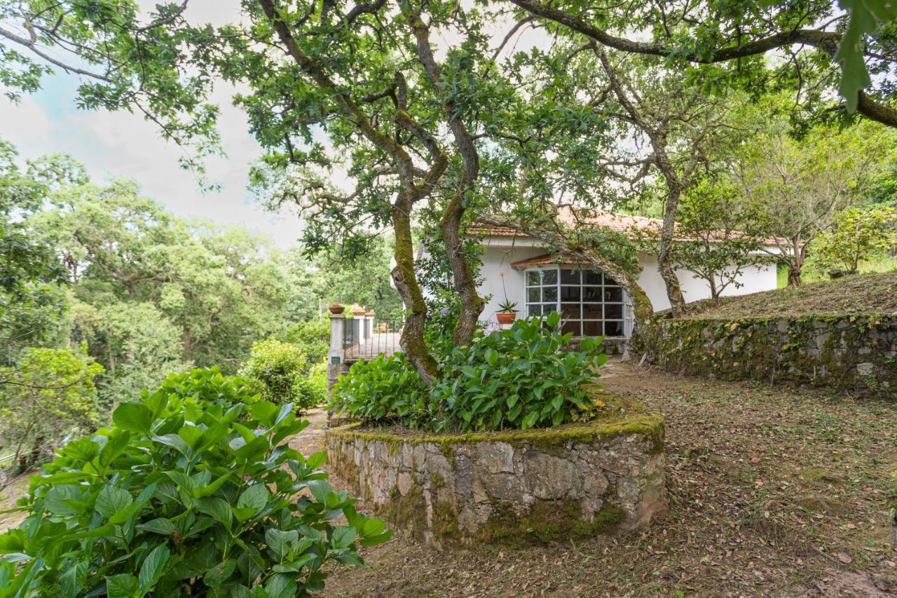 Quinta Biologica, Com Vista, Na Serra De Sintra Exteriér fotografie