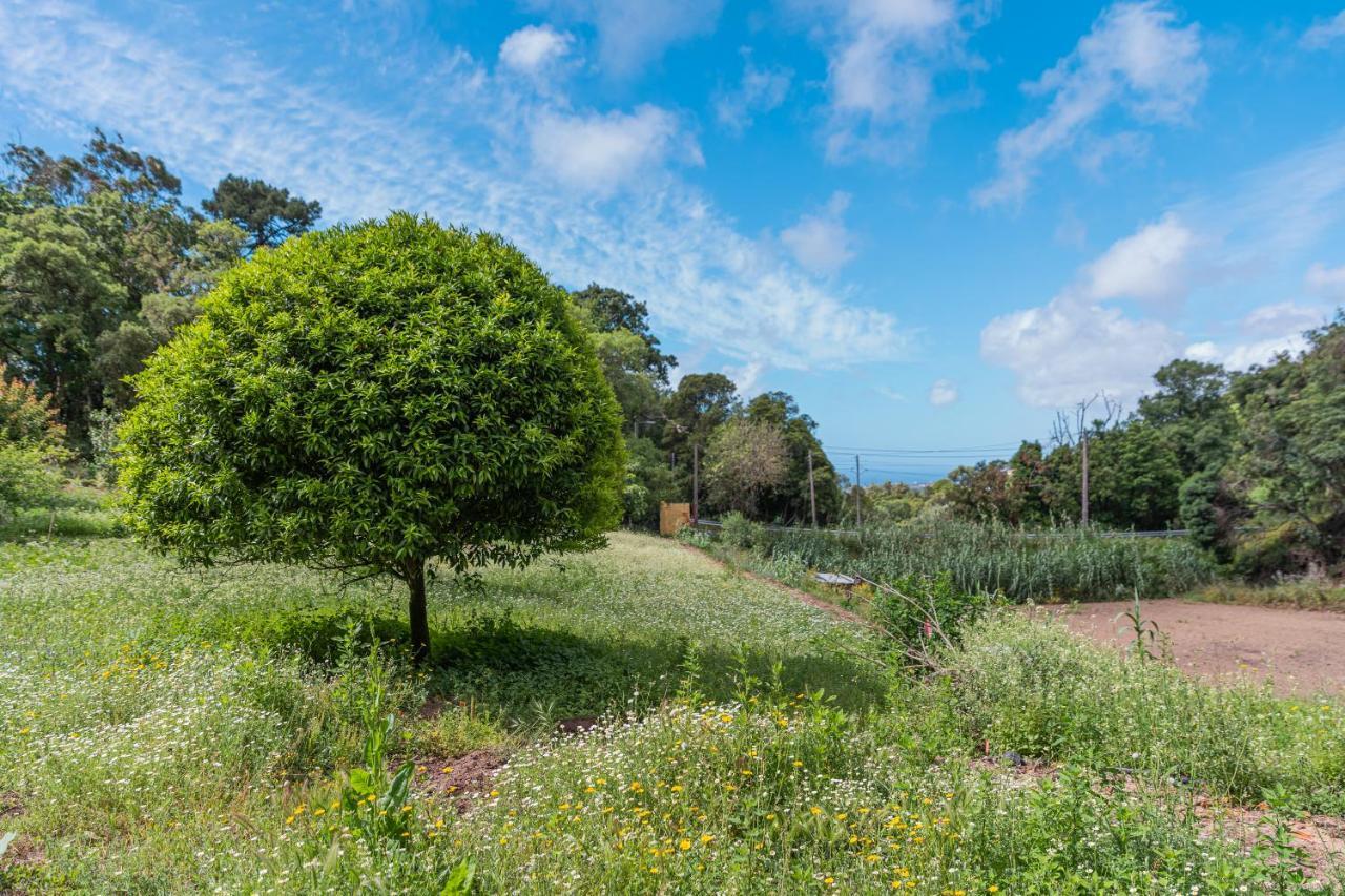 Quinta Biologica, Com Vista, Na Serra De Sintra Exteriér fotografie