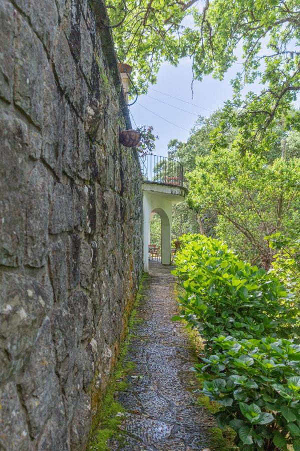 Quinta Biologica, Com Vista, Na Serra De Sintra Exteriér fotografie